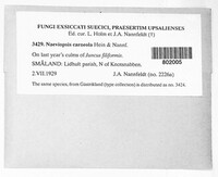 Image Associated With the Occurence